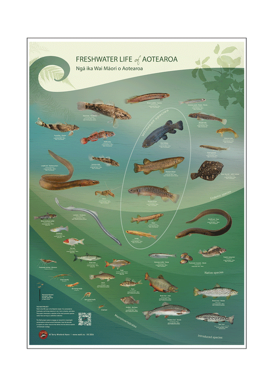 25 Freshwater Life Posters and courier