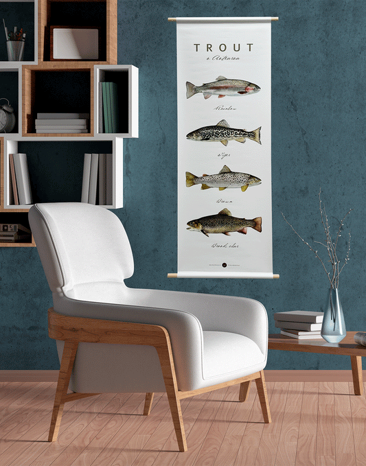 New Zealand Trout, only one left