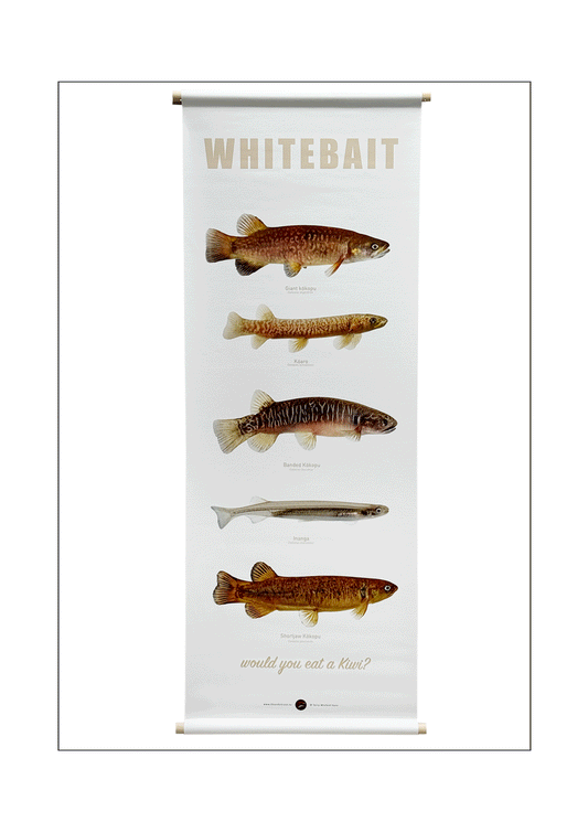 Whitebait canvas banner - NB not a stock item, lead time approx three weeks