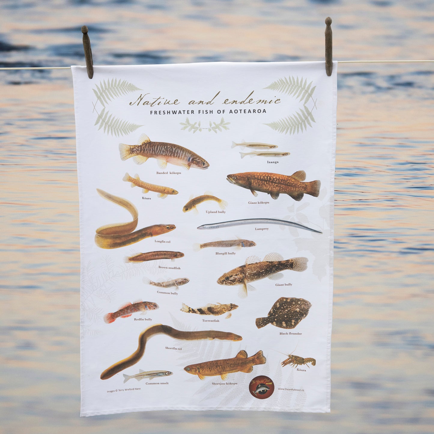 Native & Endemic Freshwater Fish of Aotearoa T-Towel