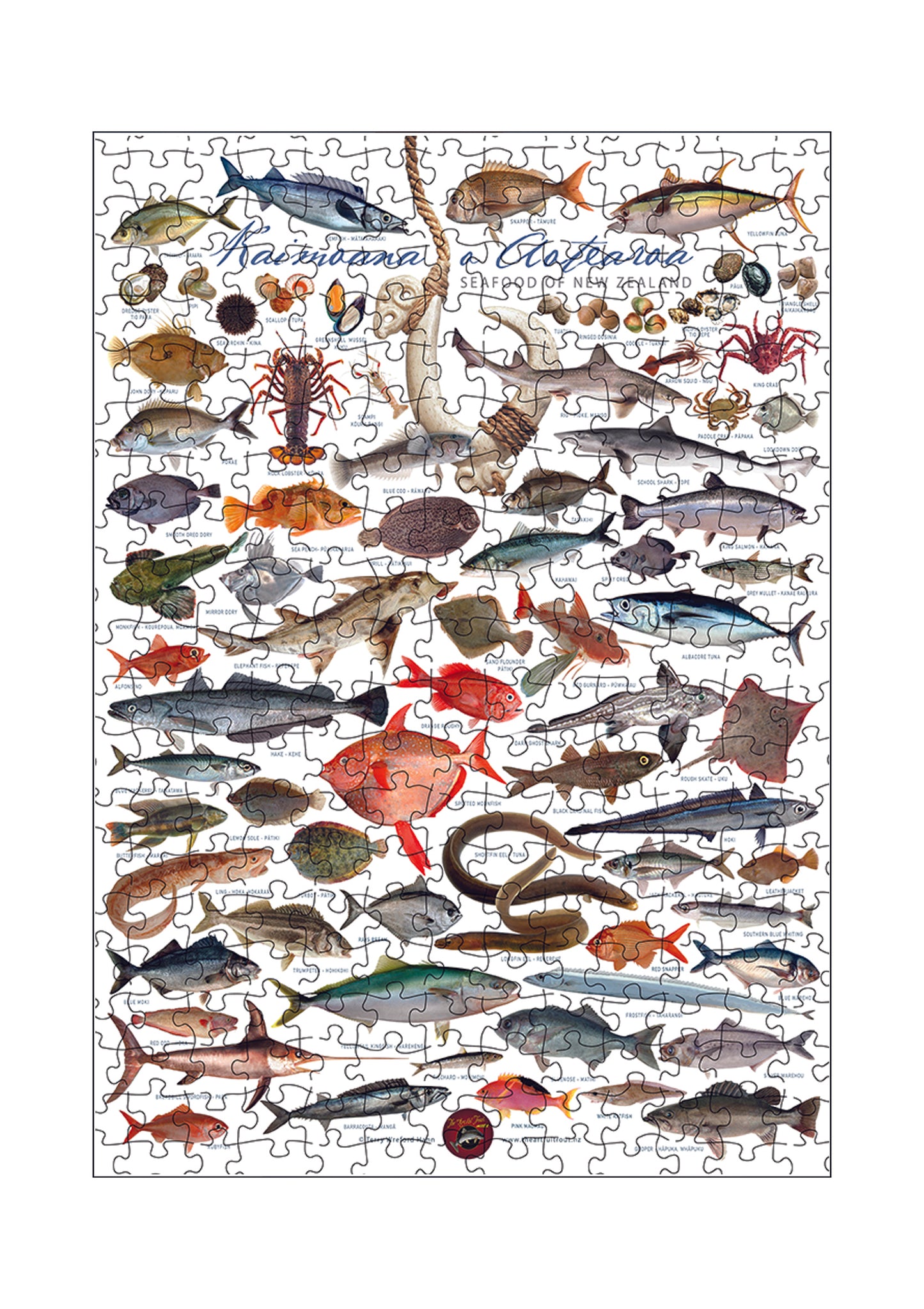 New Zealand Fish Jigsaw Puzzle