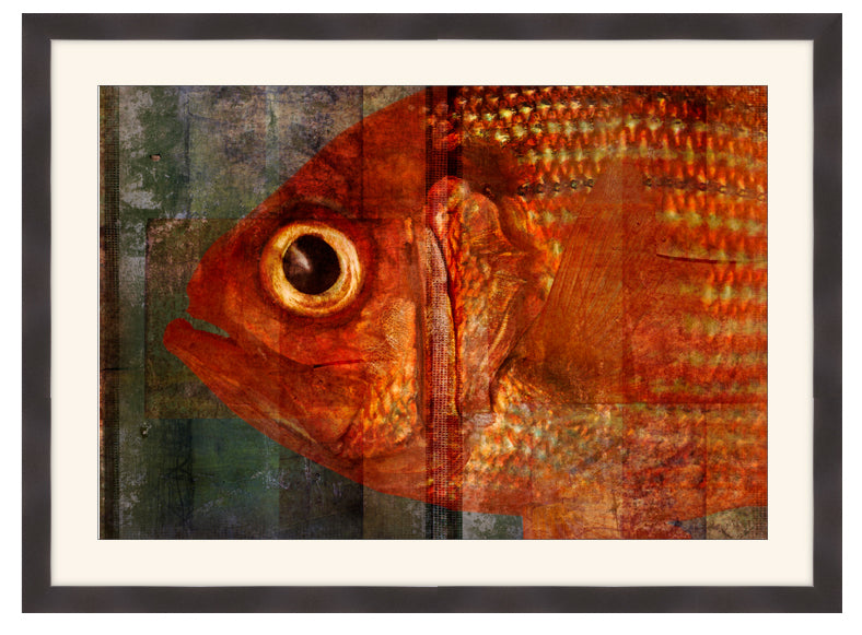 Red Sapper eye