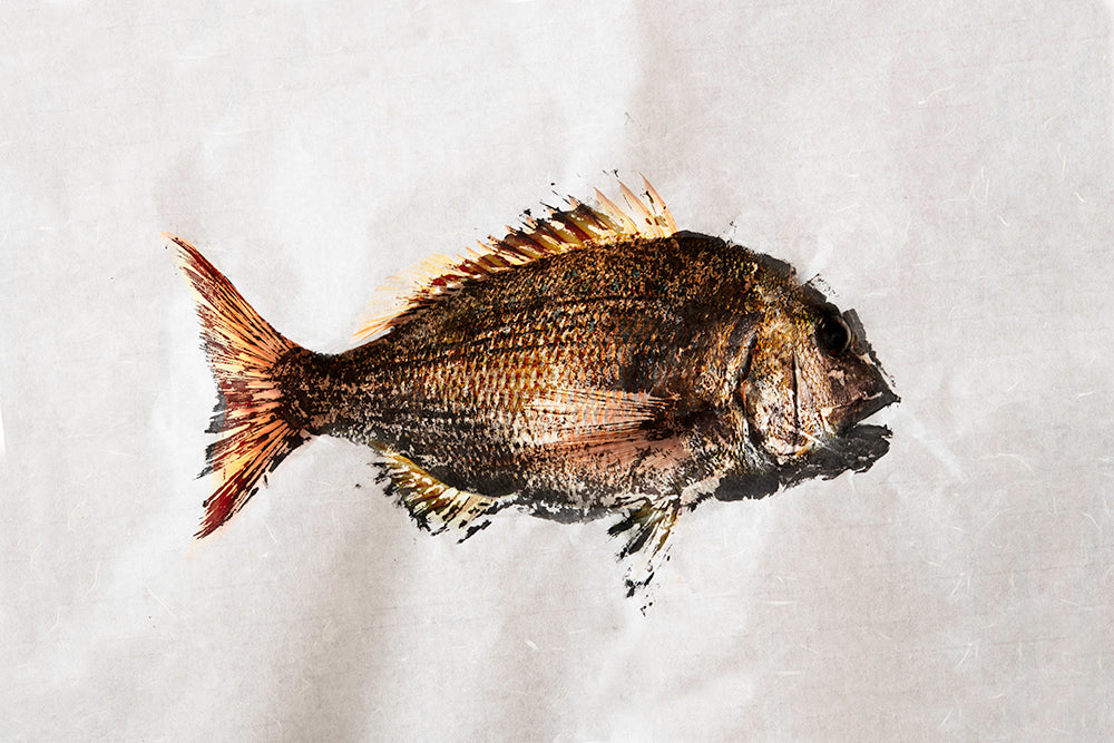Snapper Gyotaku