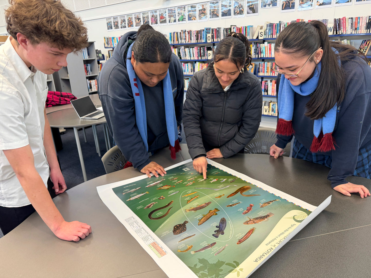 Freshwater life of Aotearoa poster A1 size (841mm x 594mm)