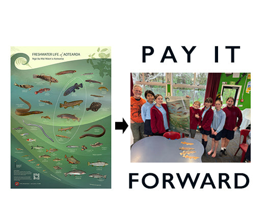 Freshwater life of Aotearoa poster for schools- Play it forward