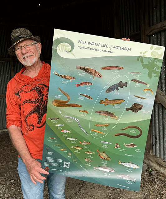 Freshwater life of Aotearoa poster for schools - includes postage to any school in Aotearoa