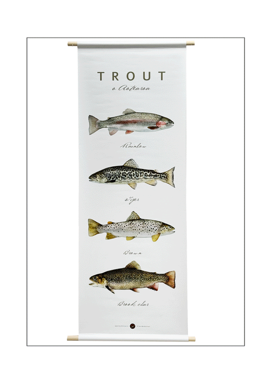 New Zealand Trout, one of only two available