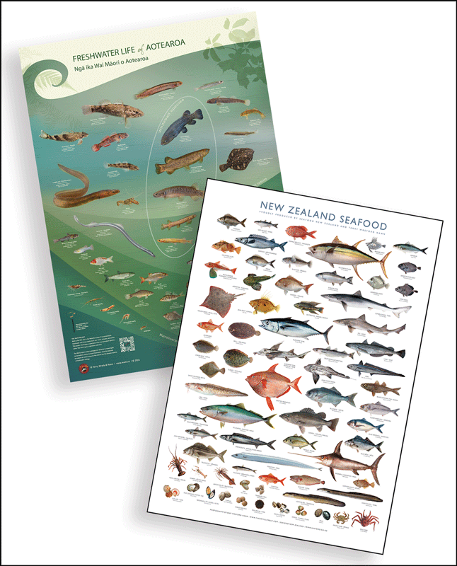 Iconic Seafood Poster + NZ Freshwater Life Poster