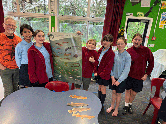 Freshwater life of Aotearoa poster for schools- Buy one Gift one