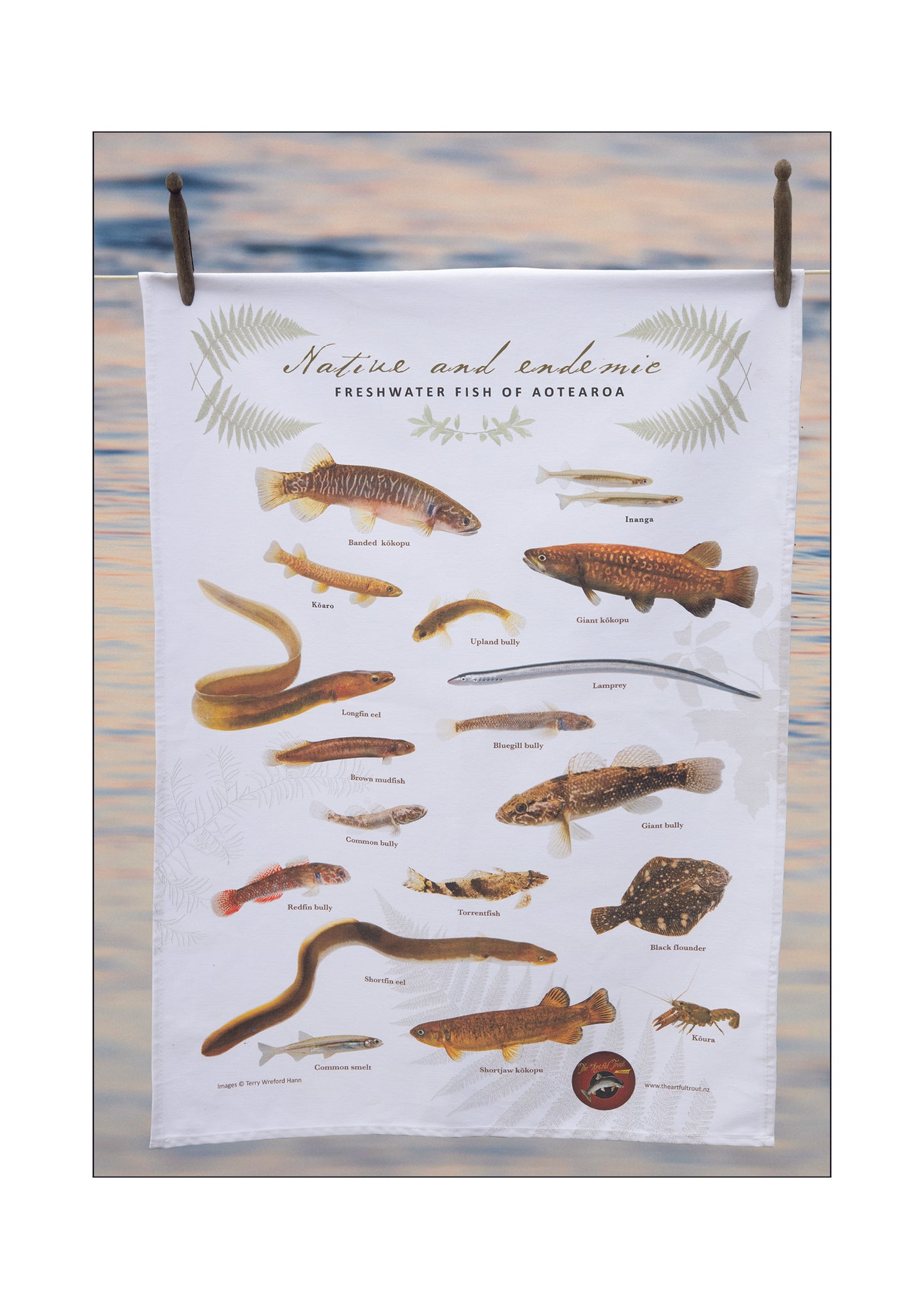 Native & Endemic Freshwater Fish of Aotearoa T-Towel