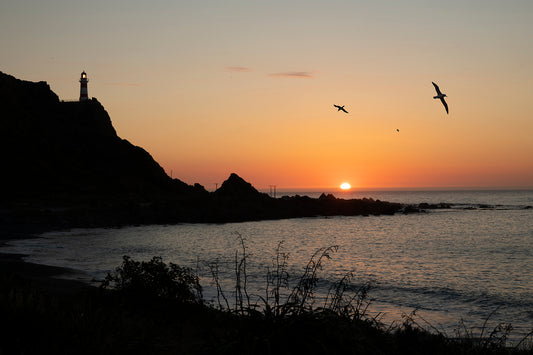 Cape Palliser sunrise