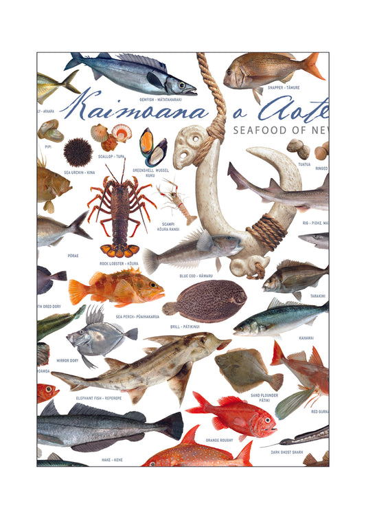 Kaimoana o Aotearoa - Seafood of New Zealand archival print